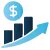 Revenue Improvement